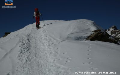 Punta Palasina