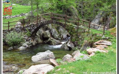 Trail 5 Colli, Lillianes